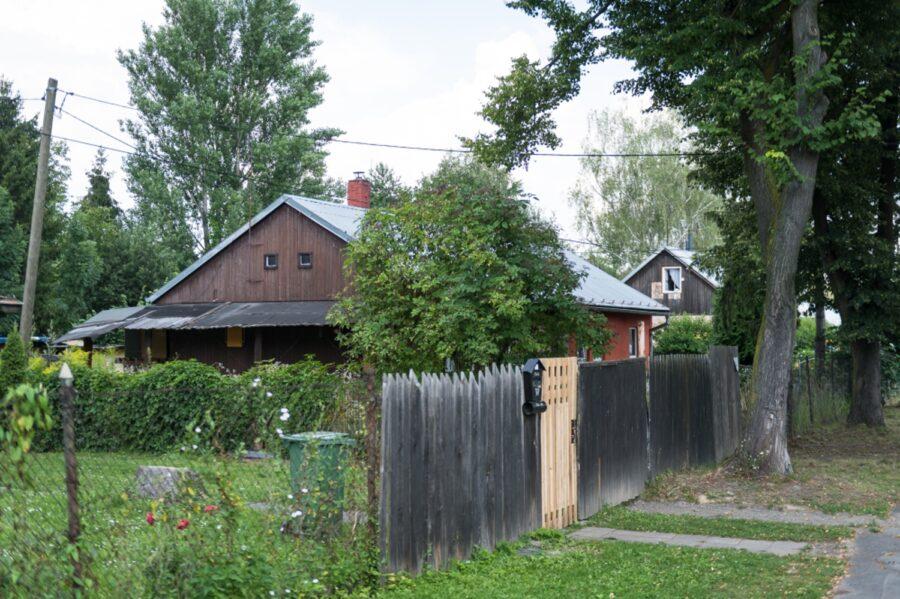 Bedřiška (FOTO: Petr Zewlakk Vrabec)