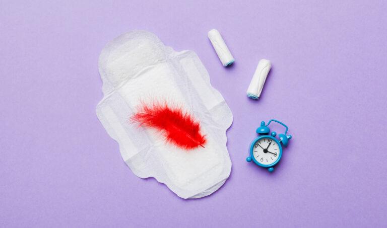 Menstruační potřeby (Ilustrační FOTO: Envato Elements)