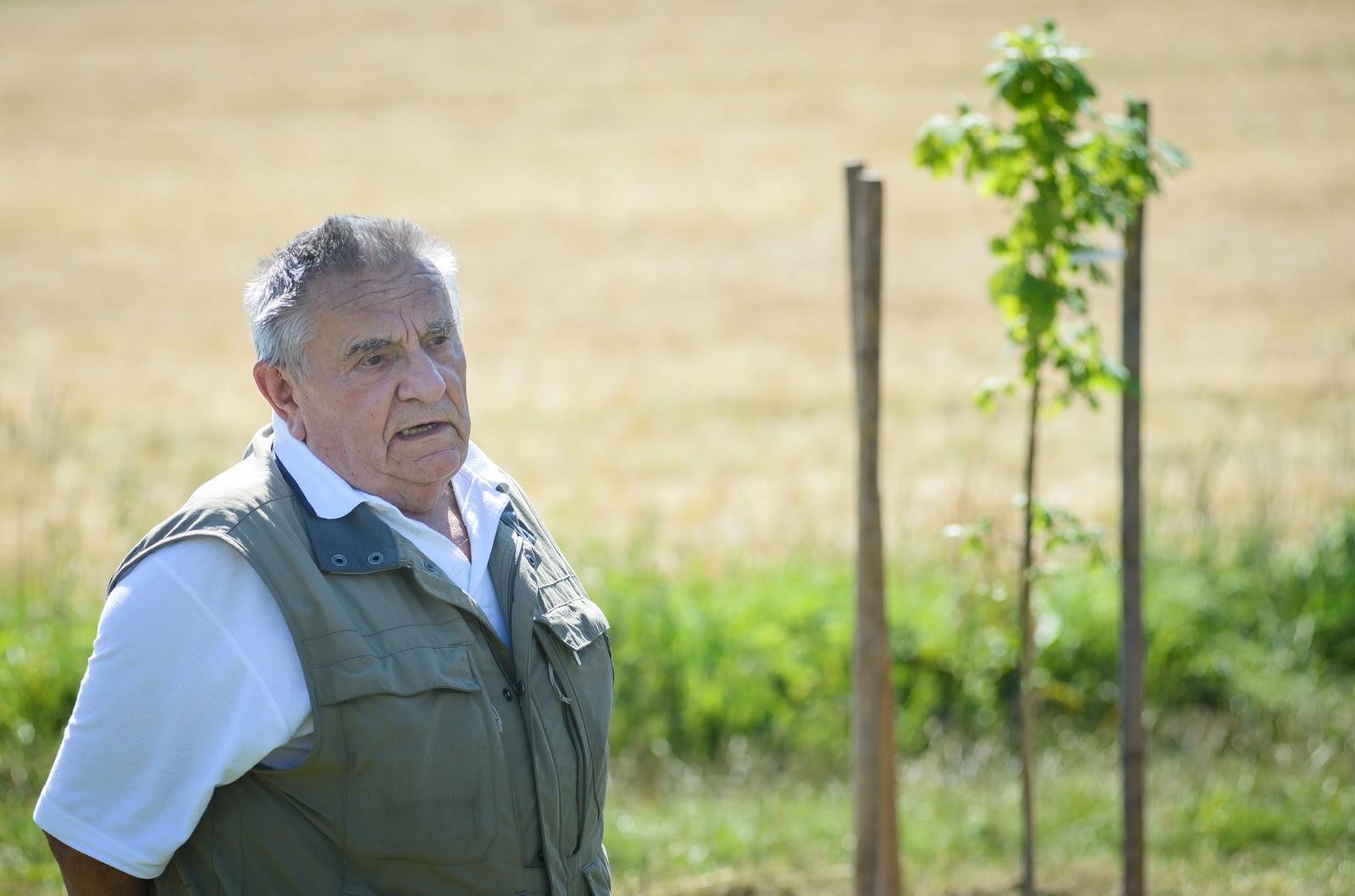 Jan Tesař během sázení památného stromu Josefa Serinka u Spělkova, 31. 7. 2017 (FOTO: Petr Zewlakk Vrabec)